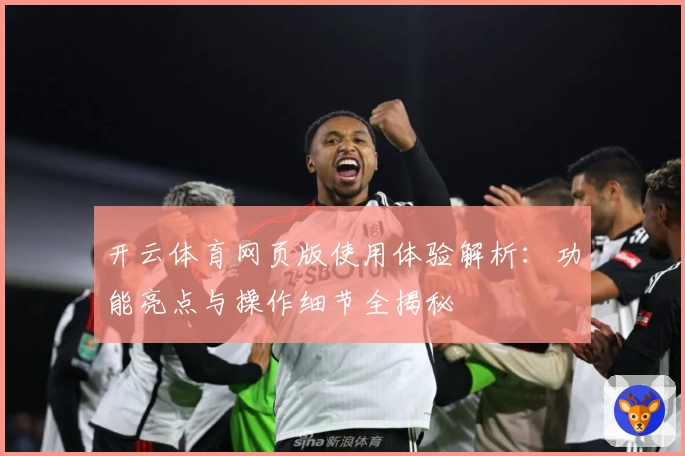 开云体育网页版使用体验解析：功能亮点与操作细节全揭秘